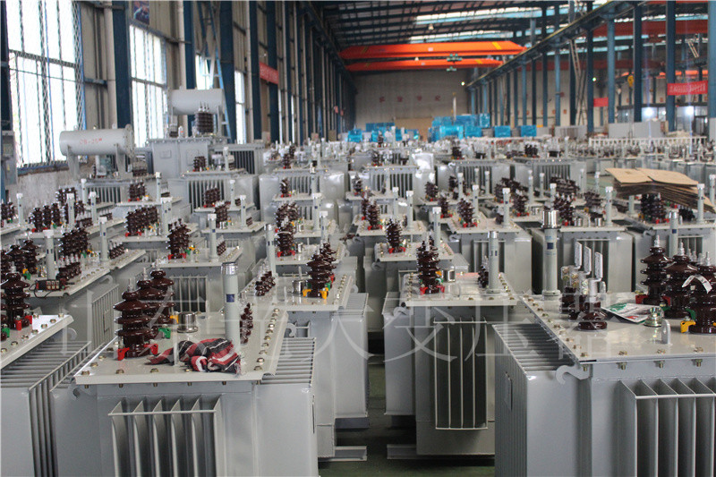 南丹S22-800KVA/10KV